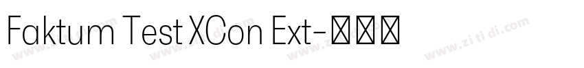 Faktum Test XCon Ext字体转换